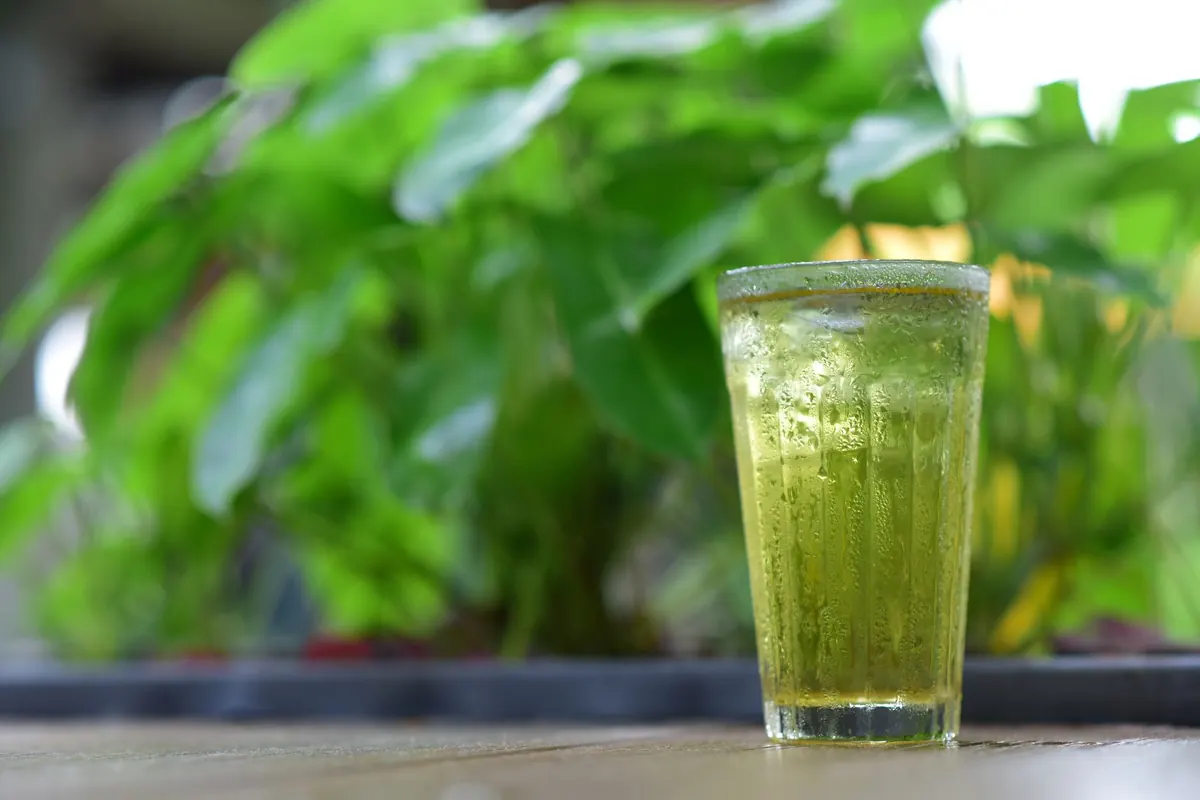 Cold Brew Tea 101: Ratios, Times, and the Best Teas for Iced Infusions