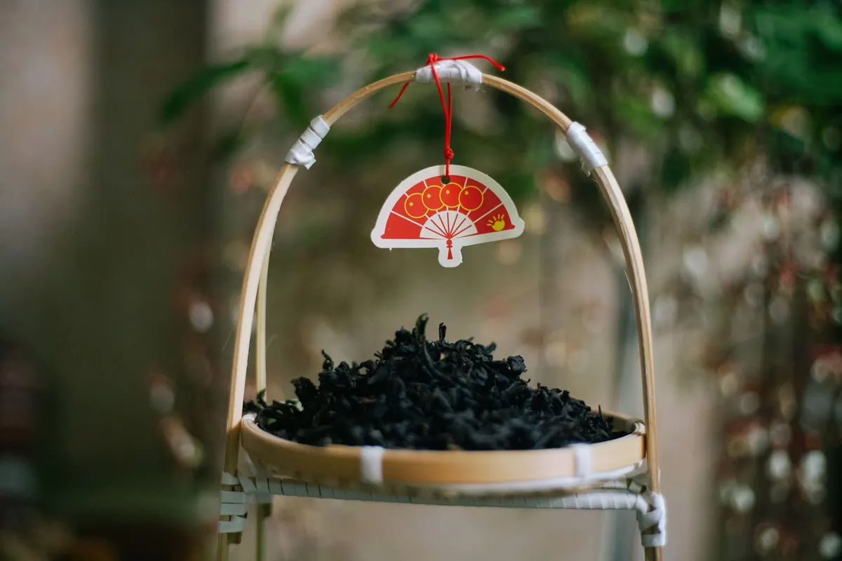 Oolong Roast Levels Compared: Light, Medium, and Dark—How They Taste and Brew